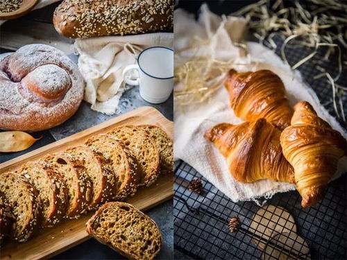 有空做头发,不如做烘焙,政府全额补贴